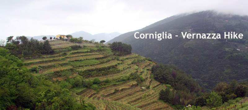 Corniglia - Vernazza Hike