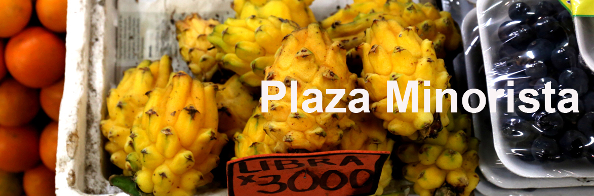 Plaza Minorista