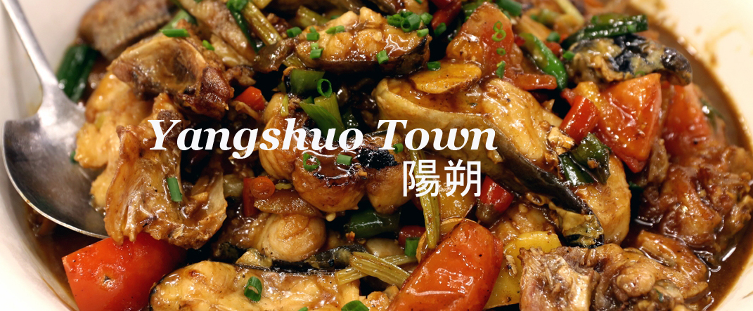 Yangshuo City Scenes