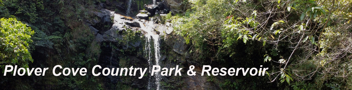 Plover Cove Country Park & Reservoir