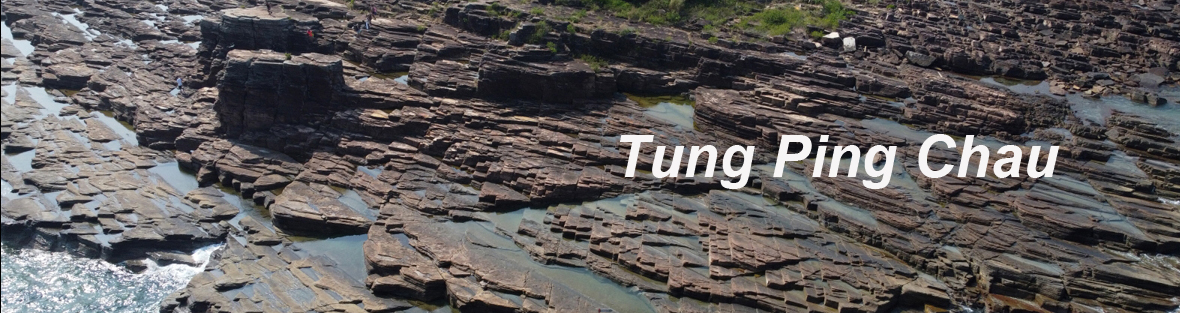 Tung Ping Chau