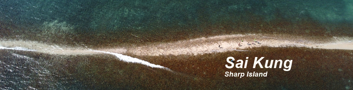 Sharp Island