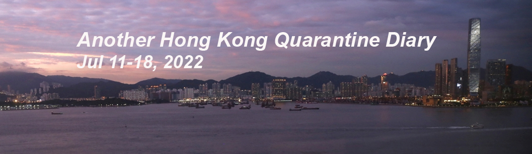 A Hong Kong Quarantine Diary Again