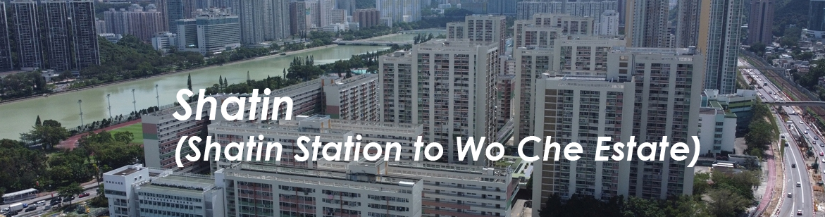Shatin Station to Wo Che Estate