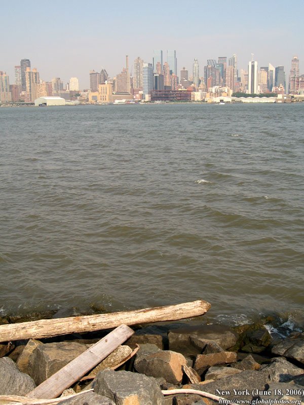 new yorker photo essay new yorker photo essay