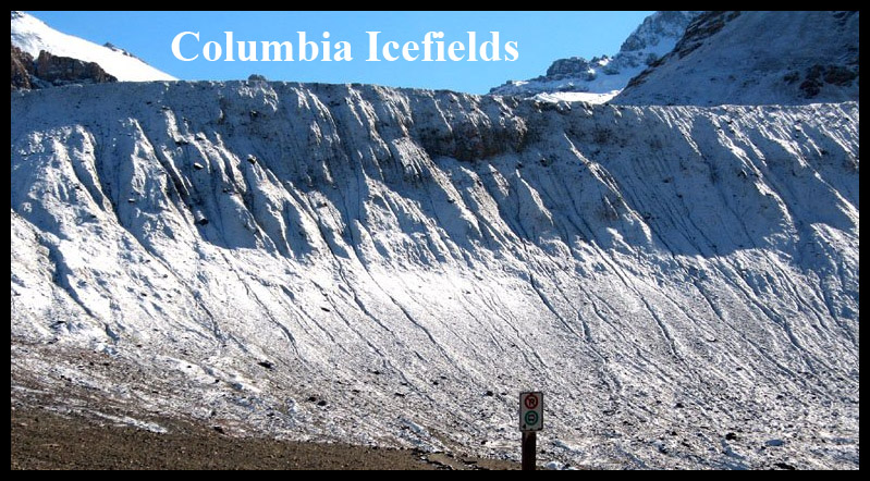 Columbia Icefields