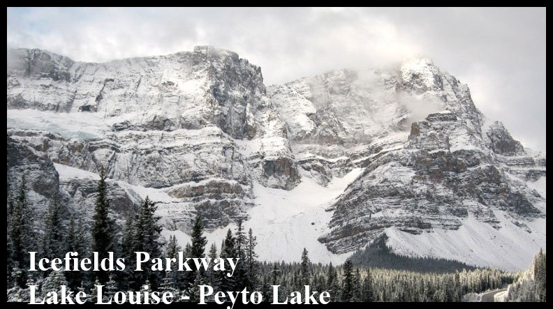Icefields Parkway Lake Louise - Peyto Lake