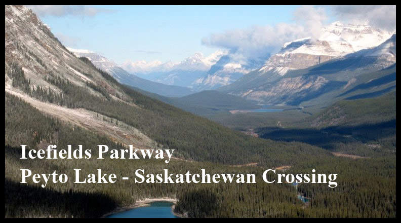 Icefields Parkway Peyto Lake - Saskatchewan Crossing