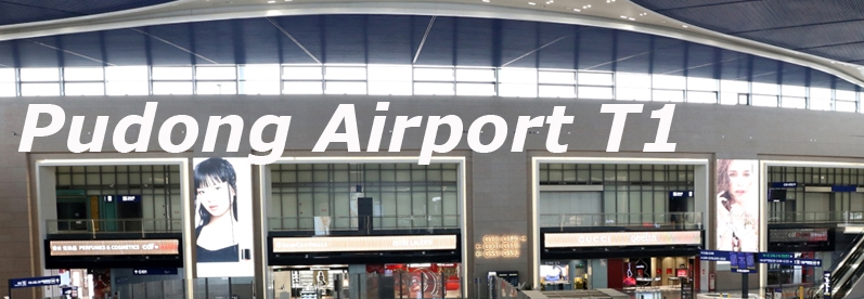 Pudong Airport T1