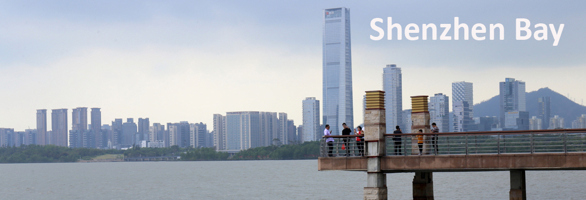 Shenzhen Bay