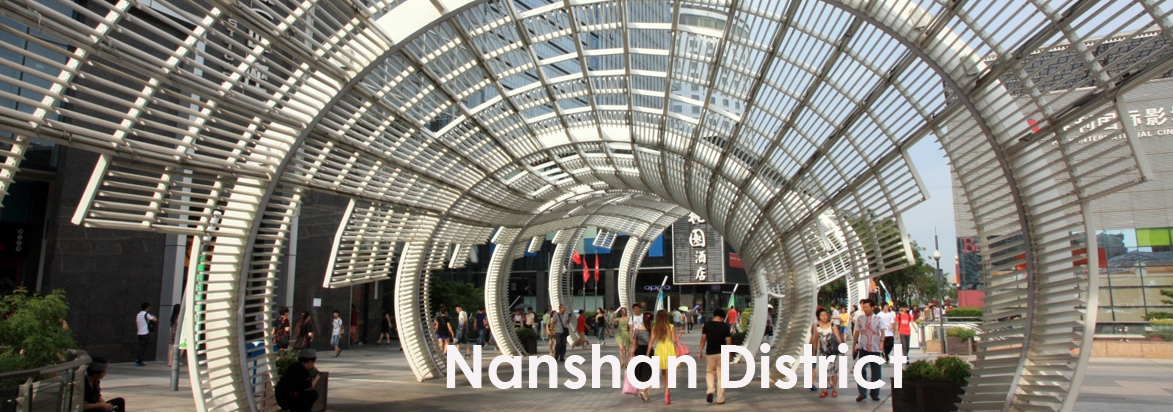 Nanshan District