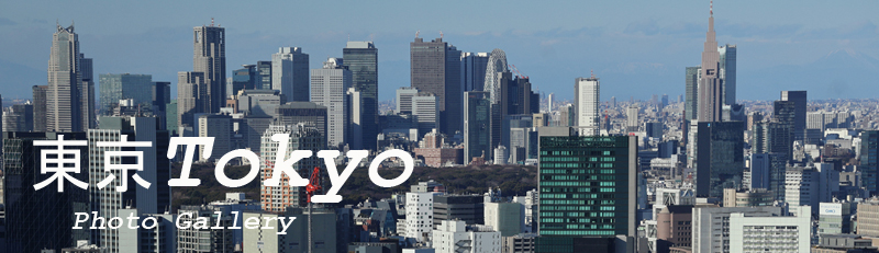 Tokyo gallery banner