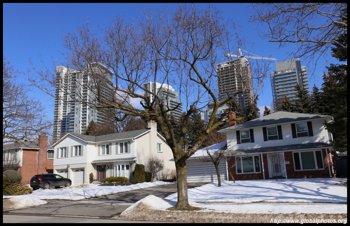 Toronto Photo Gallery North York