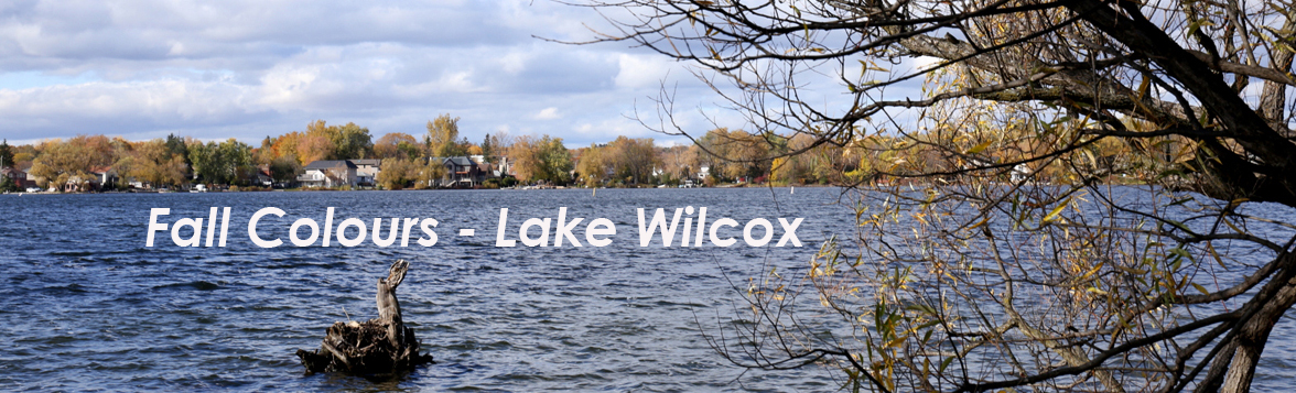 Fall Colours - Lake Wilcox
