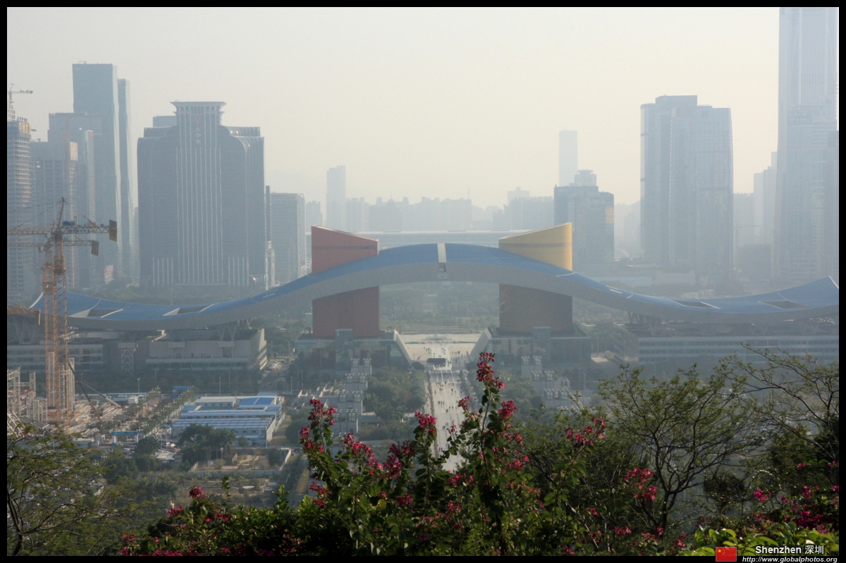 Shenzhen Futian District 2014 Photo Gallery Shenzhen Futian District 2014 Photo Gallery